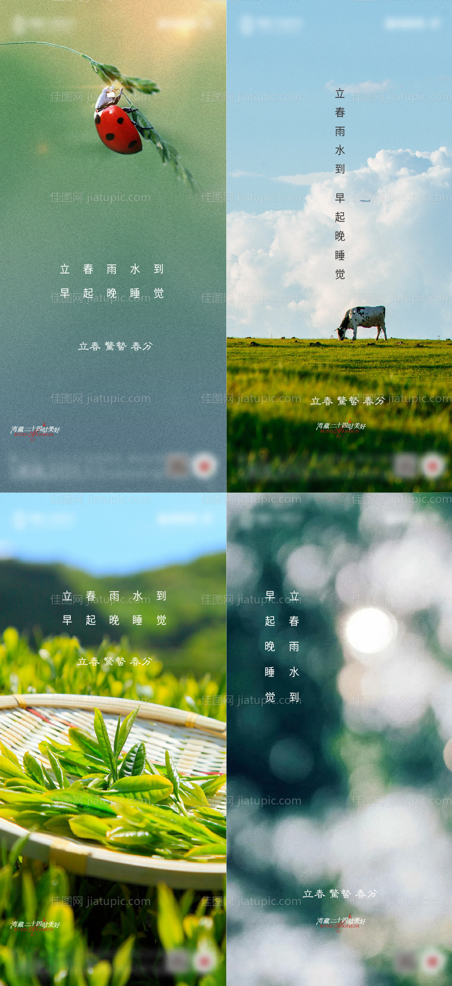 房地产节气立春春分惊蛰海报-源文件
