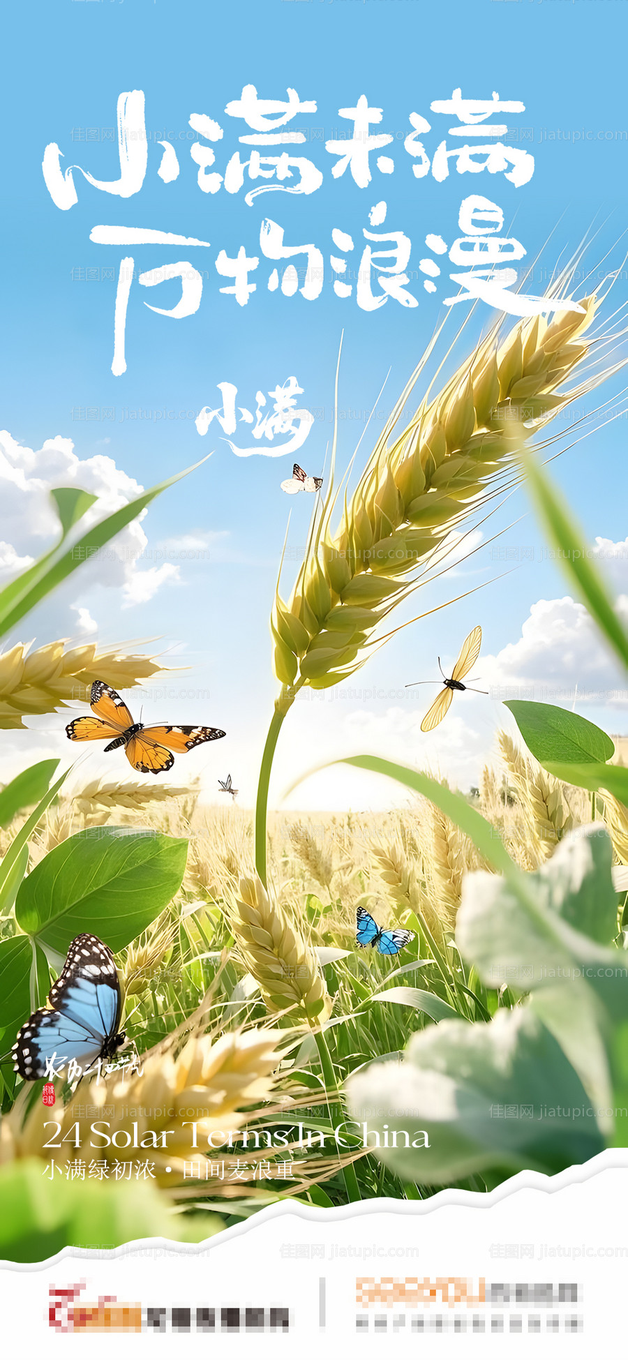 节气海报-源文件