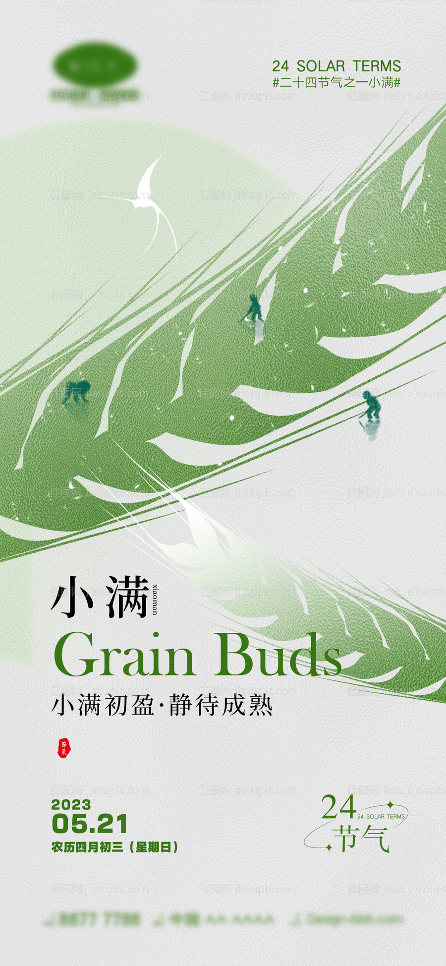 小满节气海报-源文件