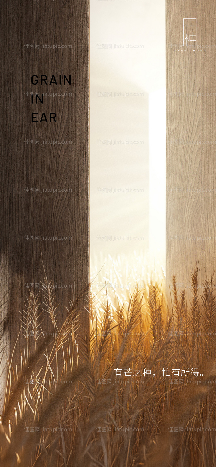 芒种节气海报-源文件