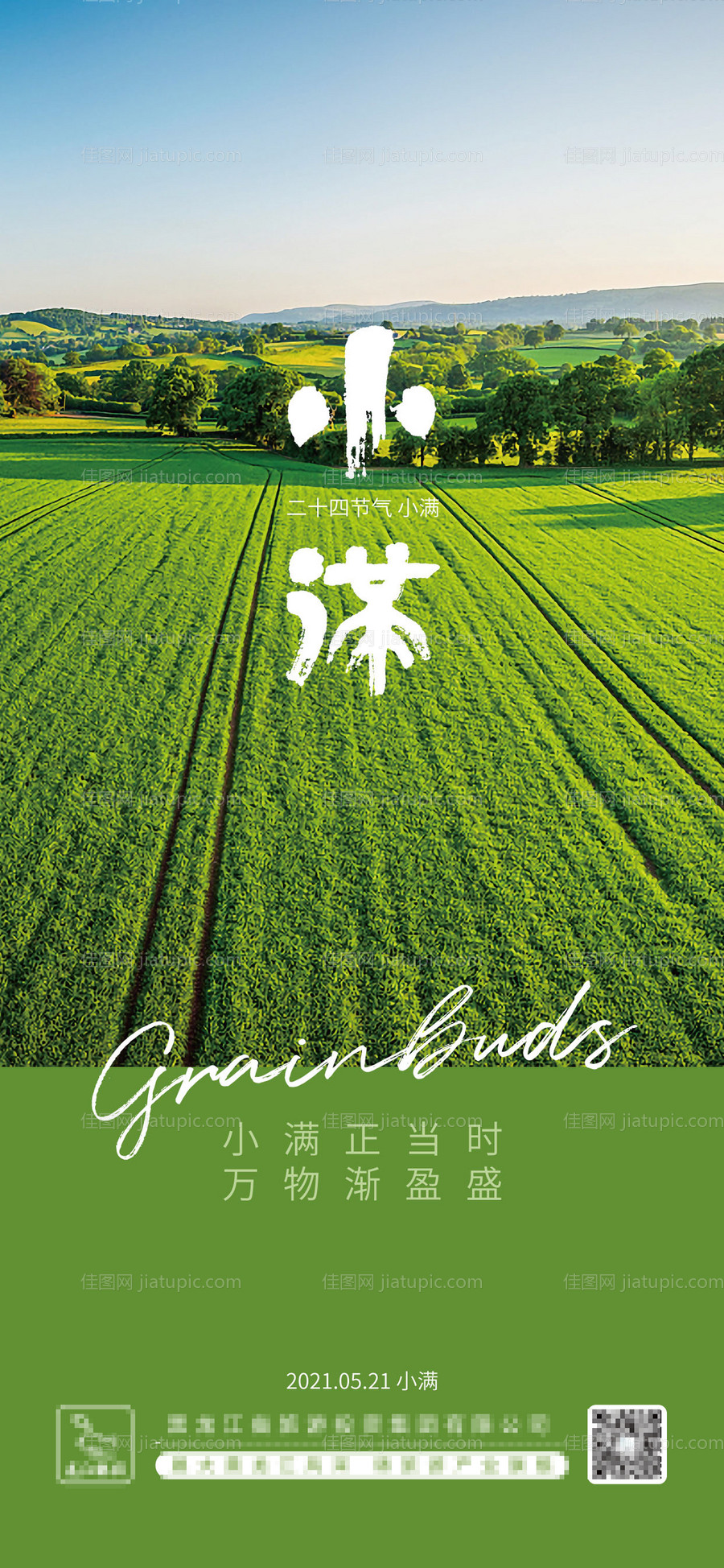 小满节气海报-源文件