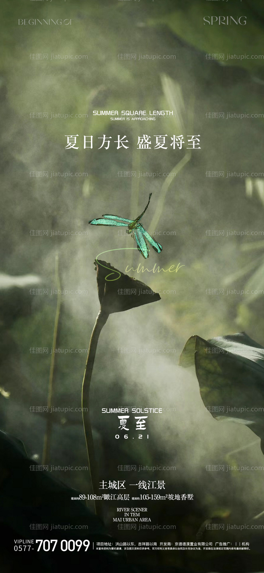 夏至节气海报-源文件