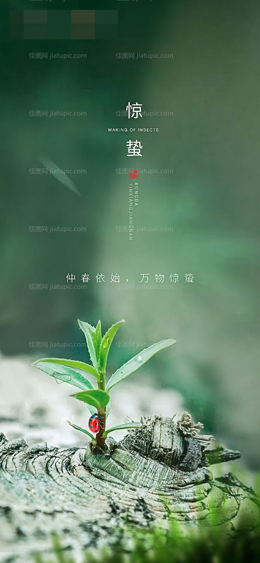 惊蛰节气移动端海报-源文件