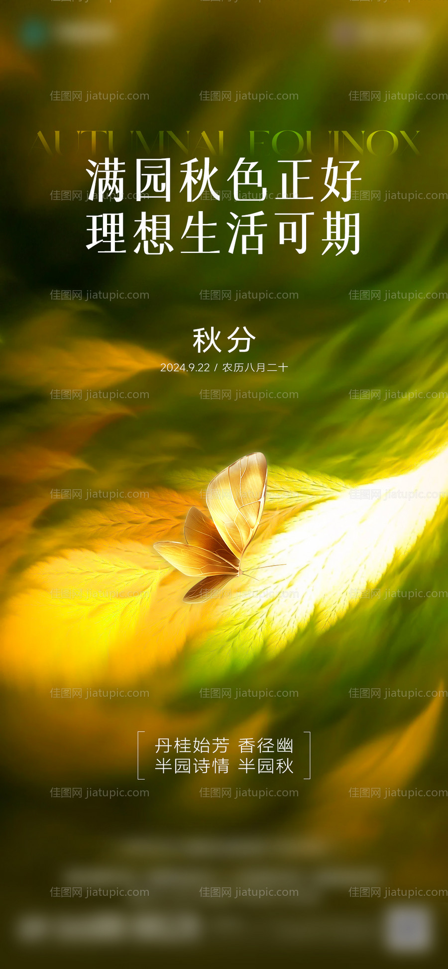 秋分节气海报-源文件