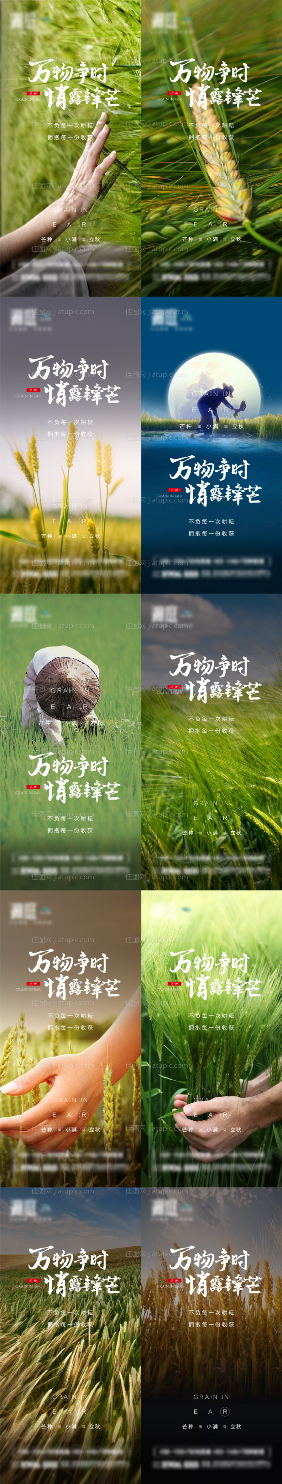 芒种小满立秋节气系列海报-源文件