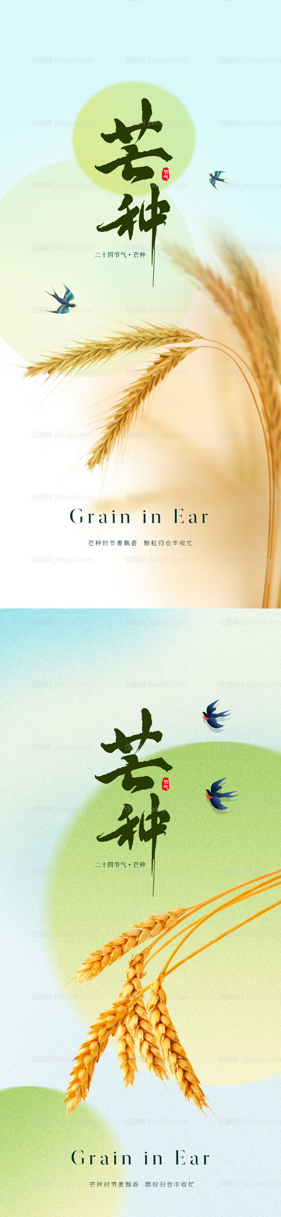 地产芒种节气海报-源文件