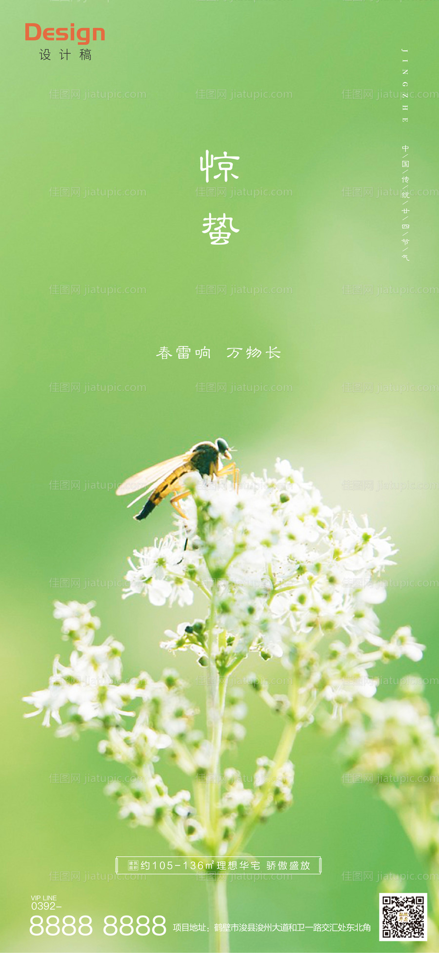 地产二十四节气惊蛰刷屏海报-源文件