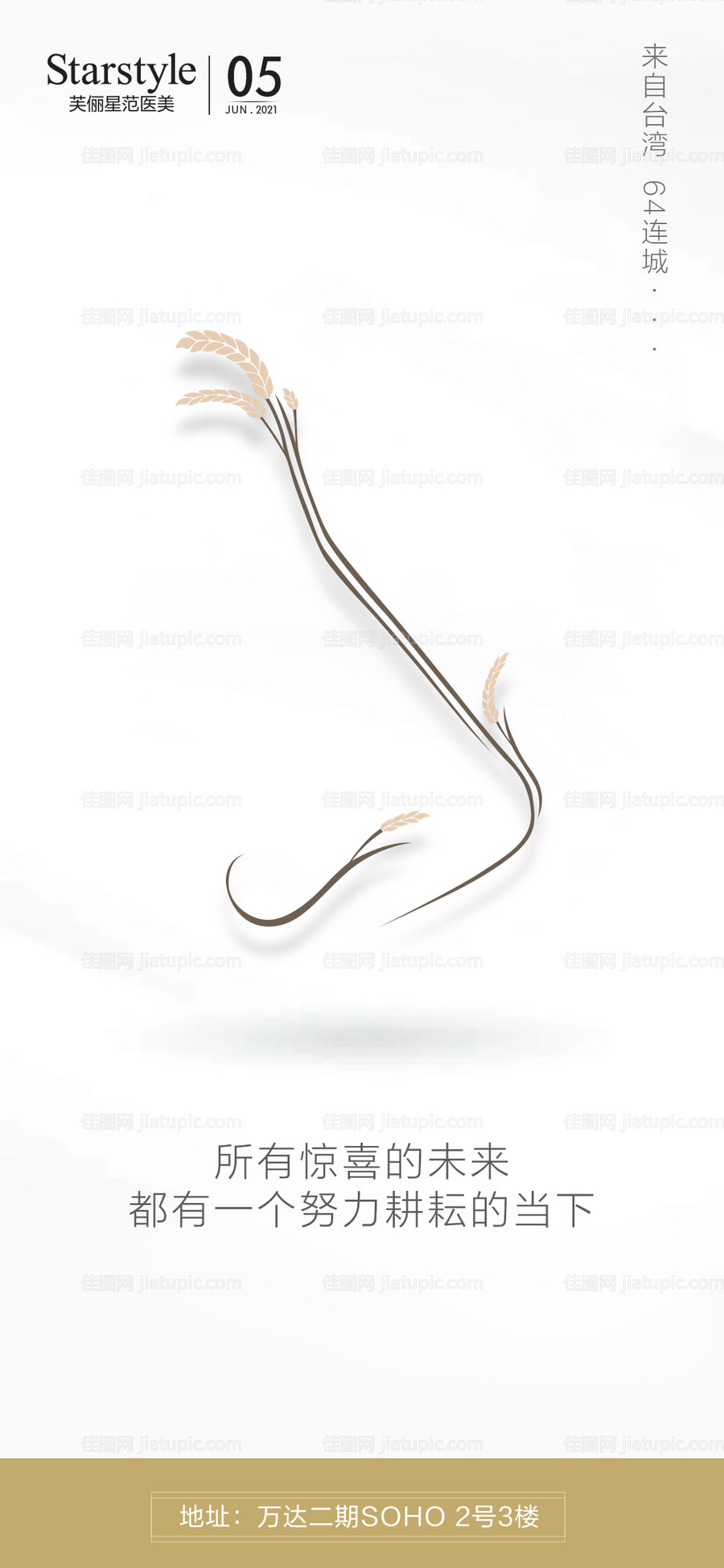 医美芒种系列海报-源文件