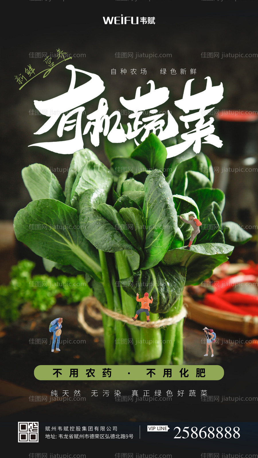 有机蔬菜海报-源文件