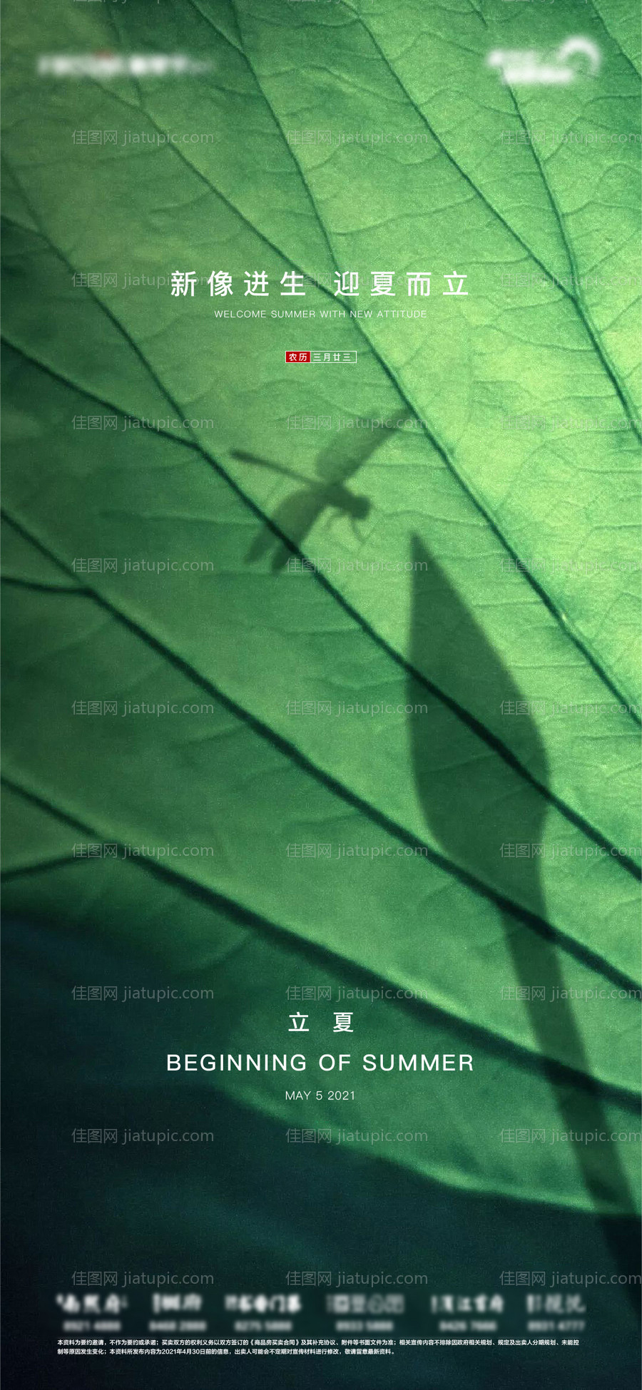 地产大气质感立夏节气海报-源文件