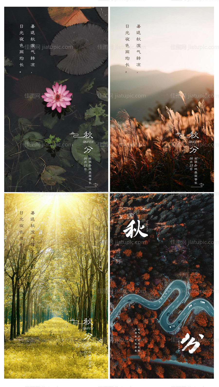 秋分节气海报-源文件