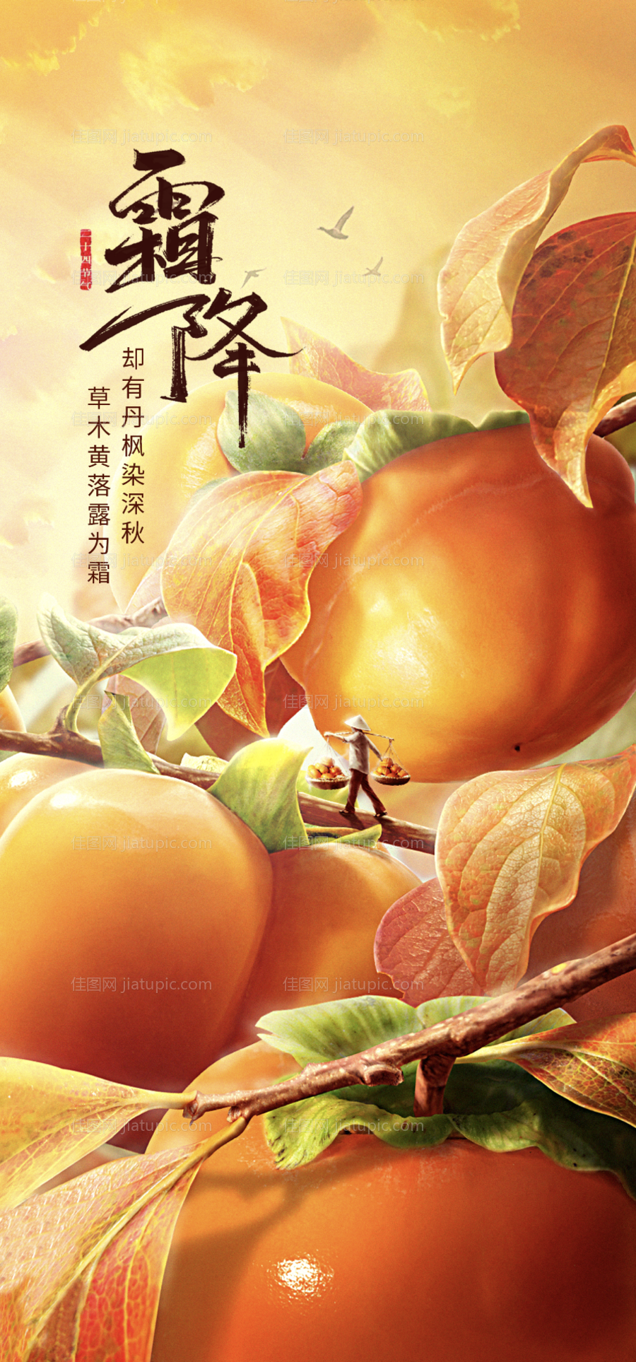 霜降海报-源文件