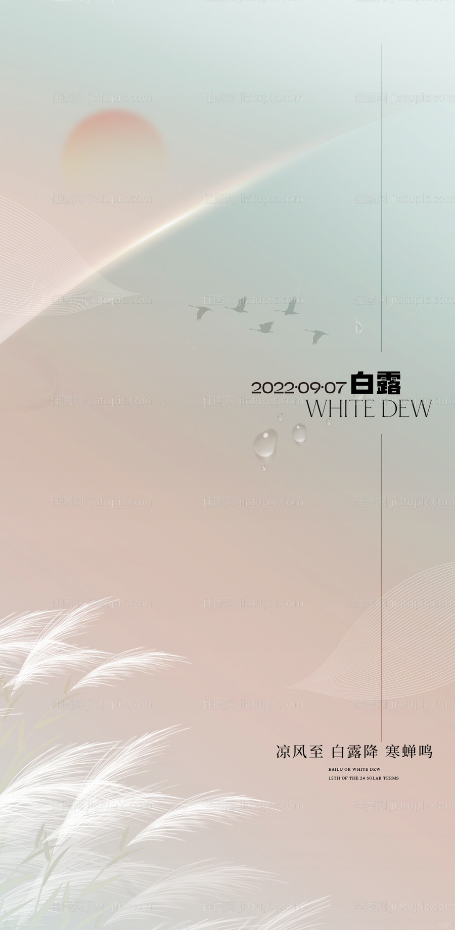 白露节气海报-源文件