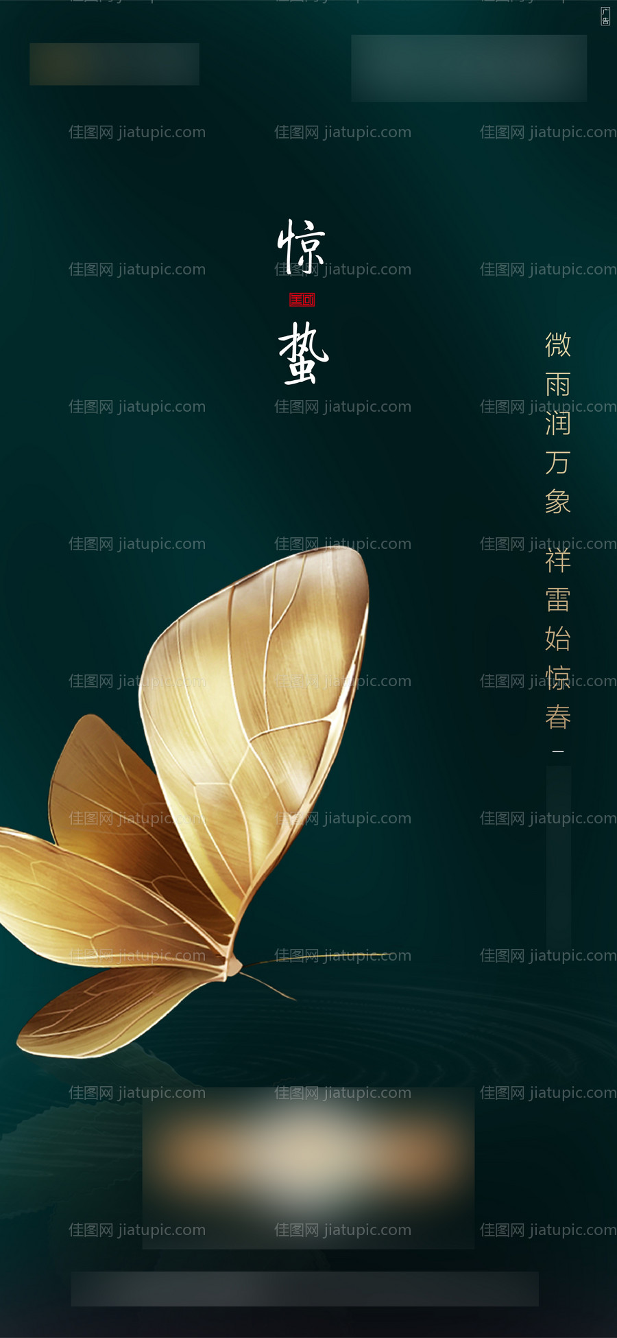 惊蛰节气移动端海报-源文件