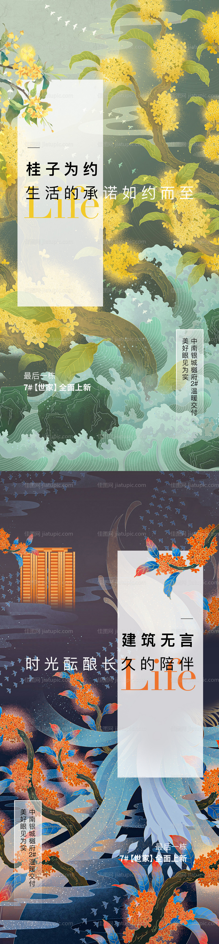 桂花美图海报-源文件