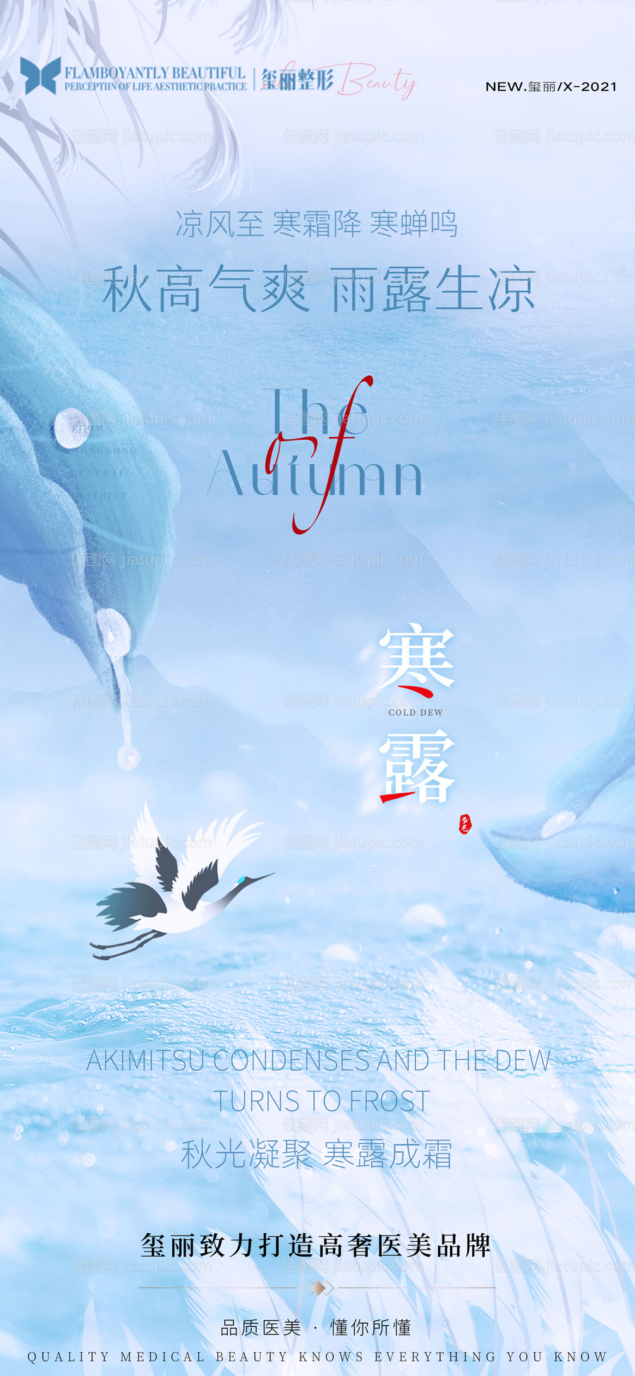 医美节气海报-源文件