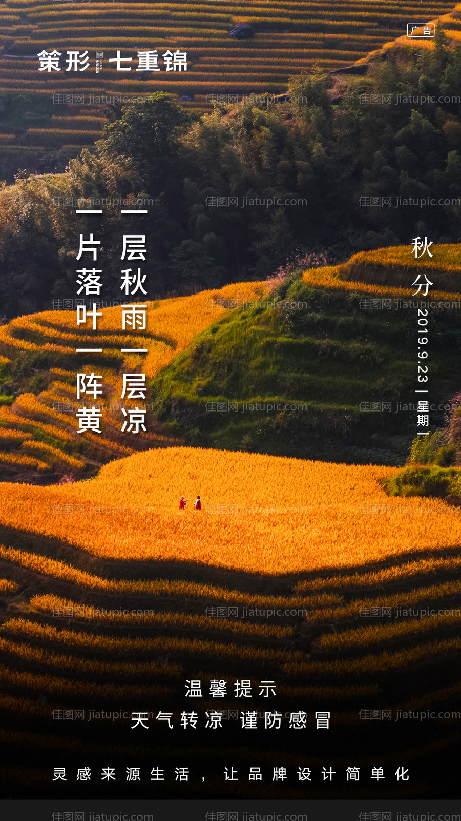 二十四节气之秋分移动端海报-源文件