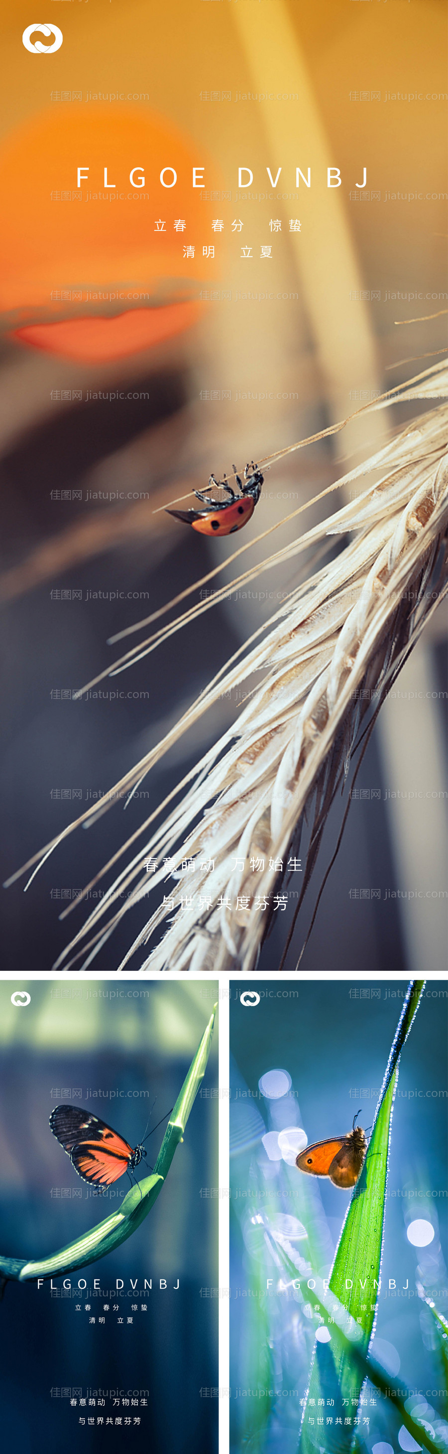 立春节气系列海报-源文件