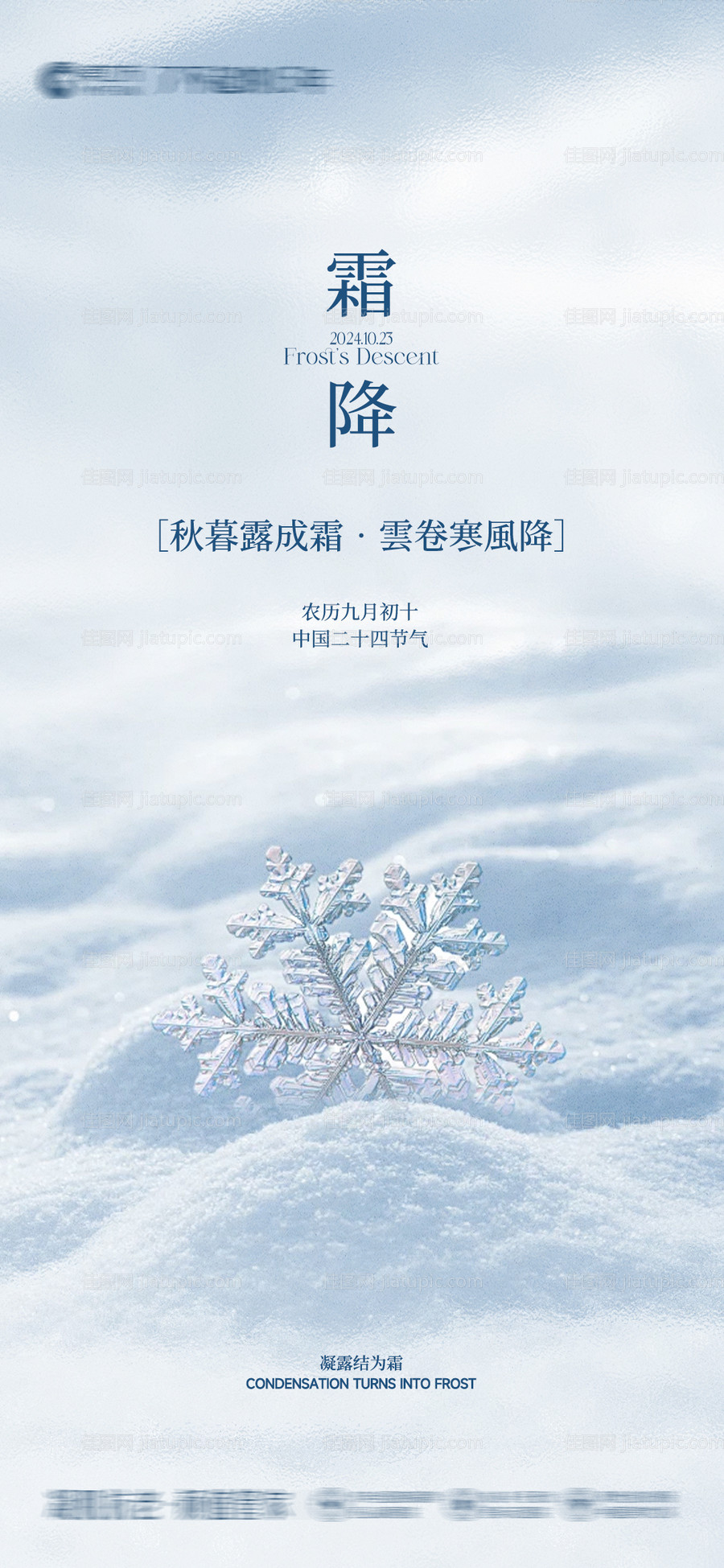 节气海报-源文件