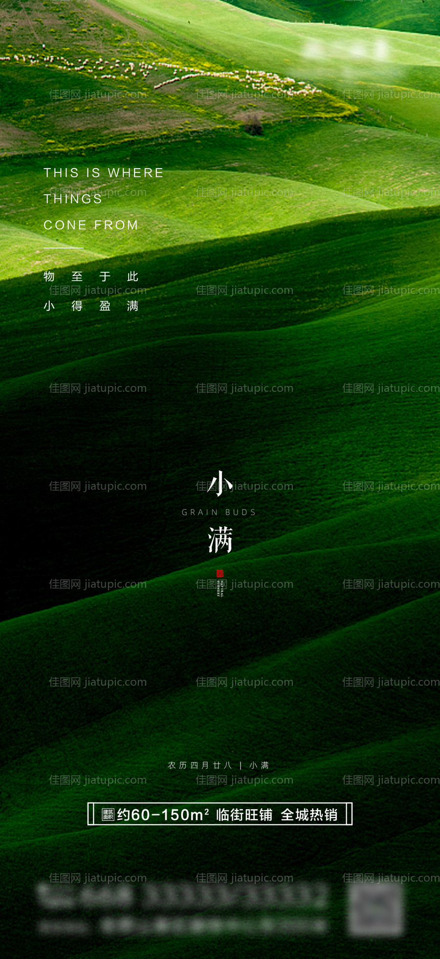 小满节气移动端海报-源文件
