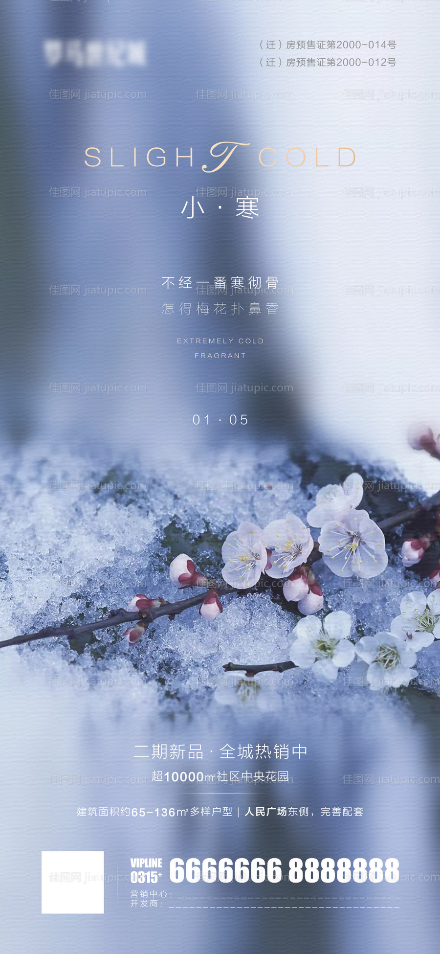 小寒微信海报-源文件