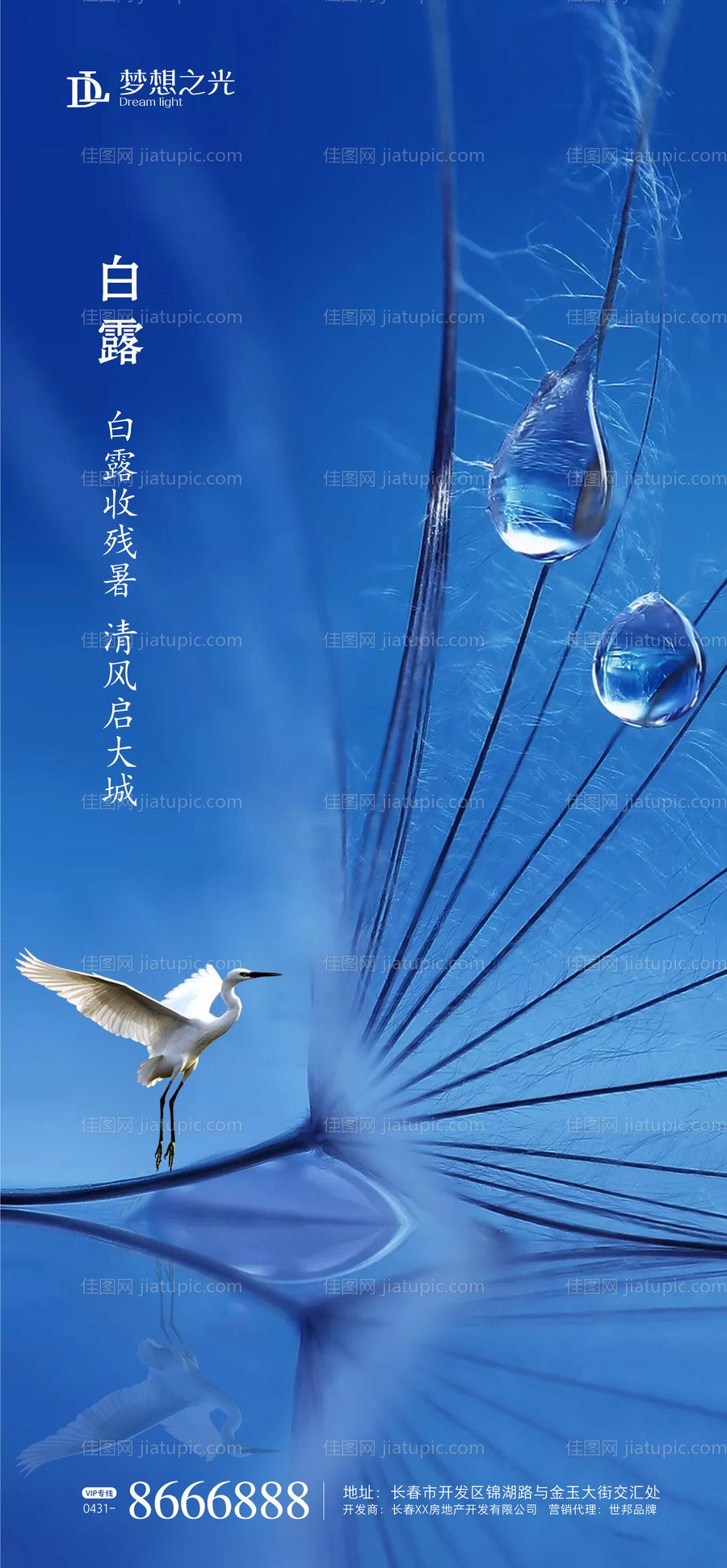 蓝色白露海报-源文件