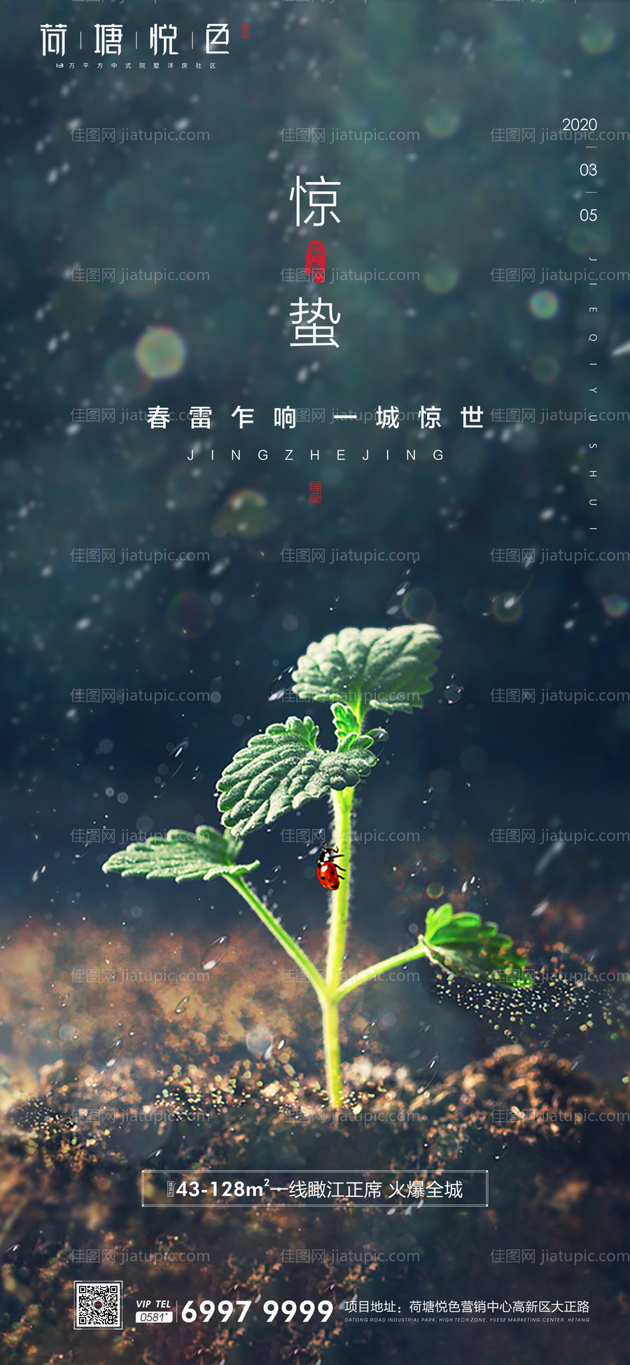 惊蛰节气移动端海报-源文件