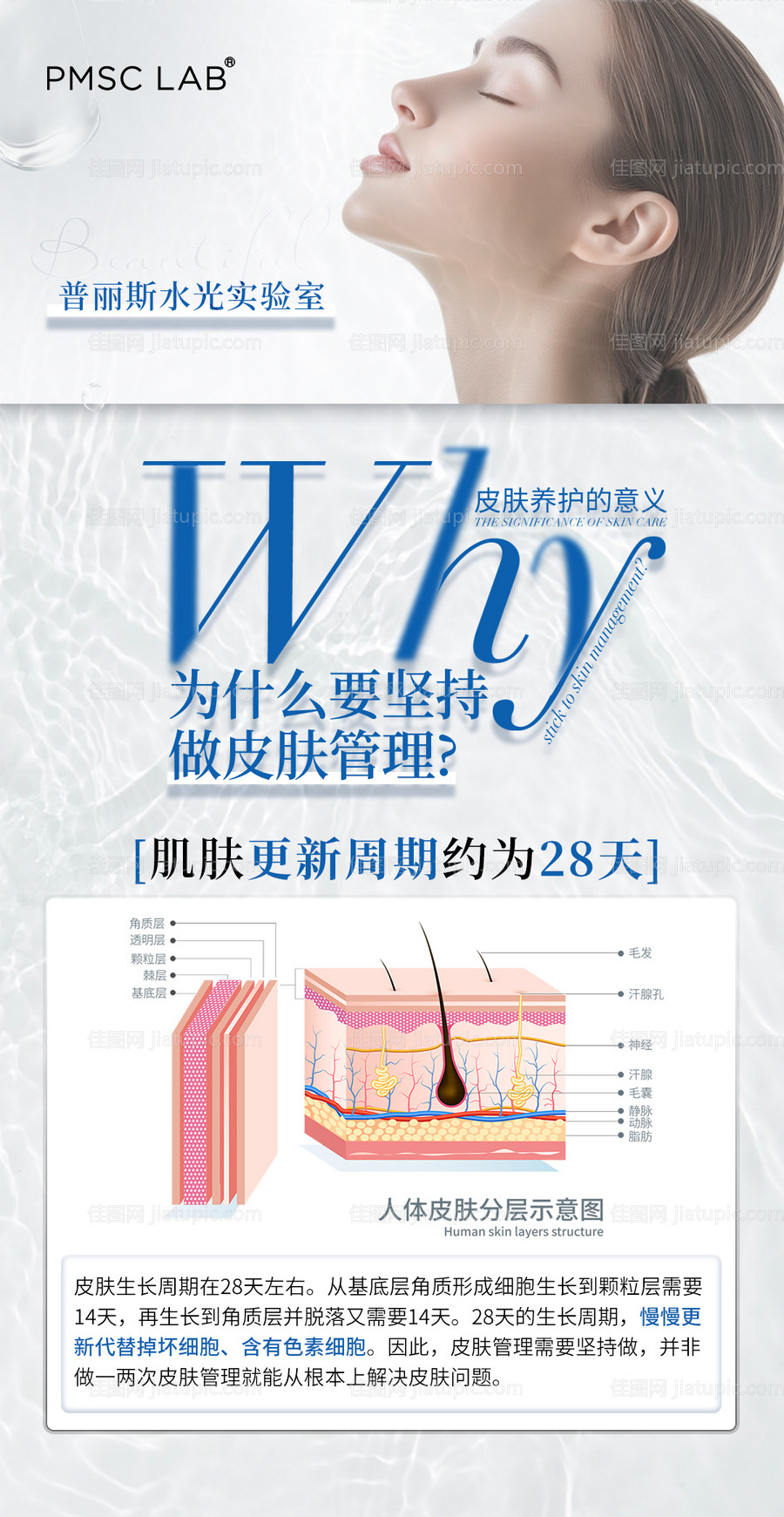 美业水光科普海报-源文件