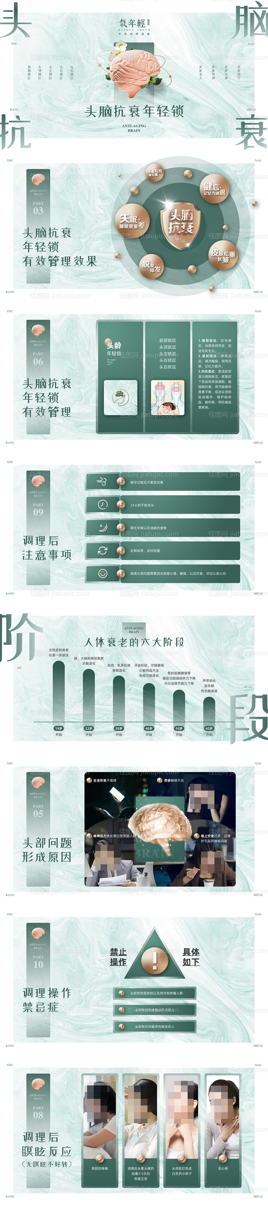 养生大脑抗衰PPT课件-源文件