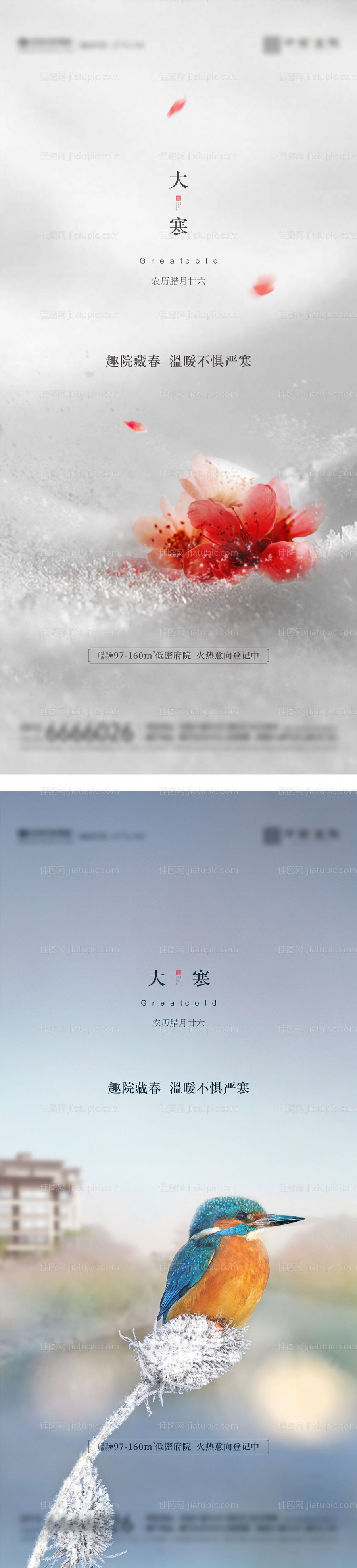 大寒单图-源文件