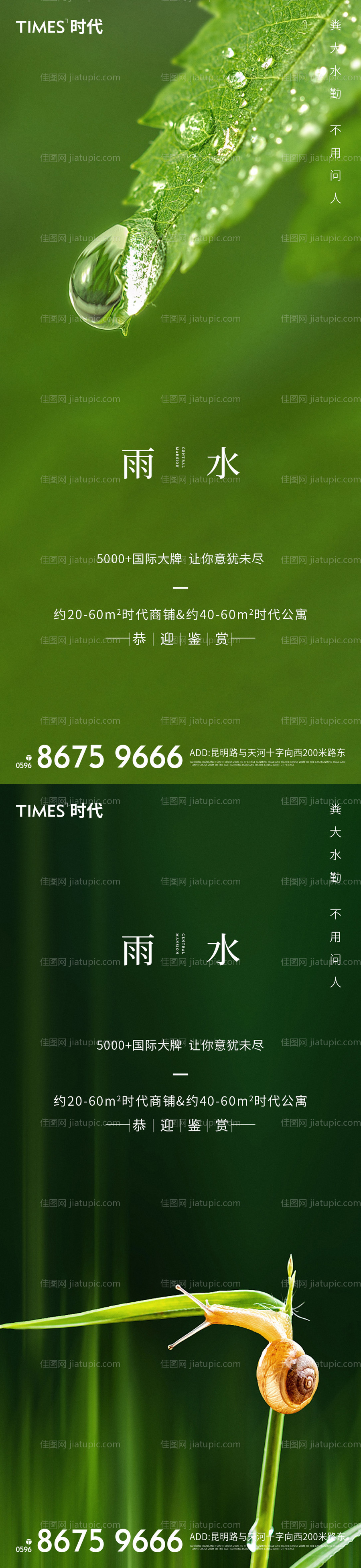 雨水节气系列海报-源文件