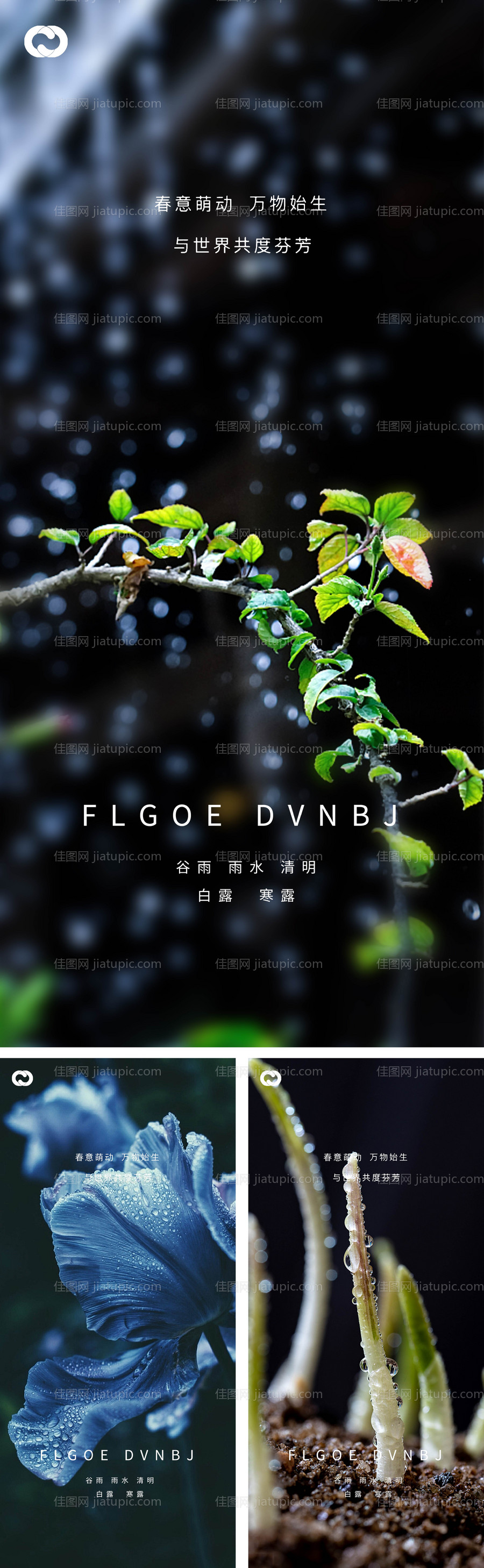 雨水谷雨清明白露寒露系列海报-源文件