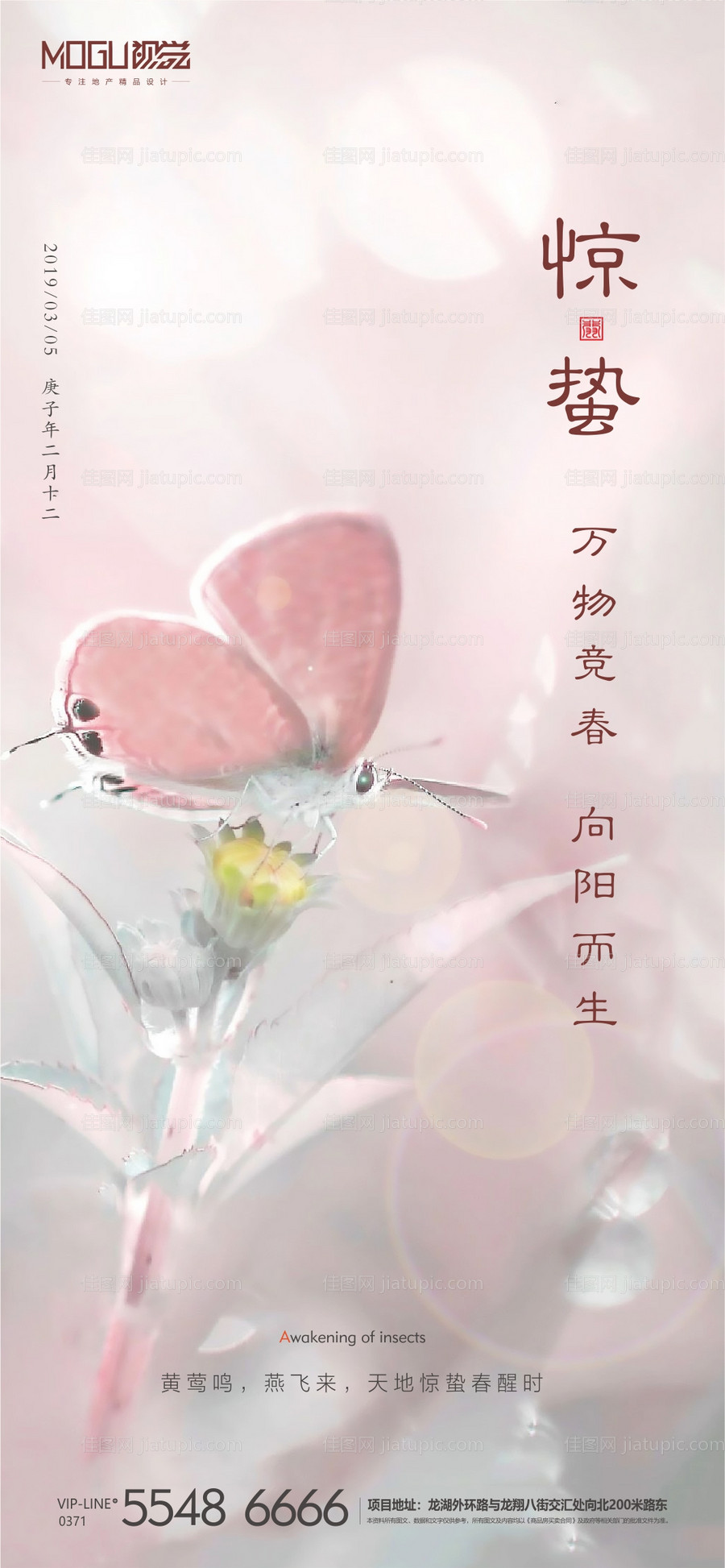 地产惊蛰节气微信海报-源文件