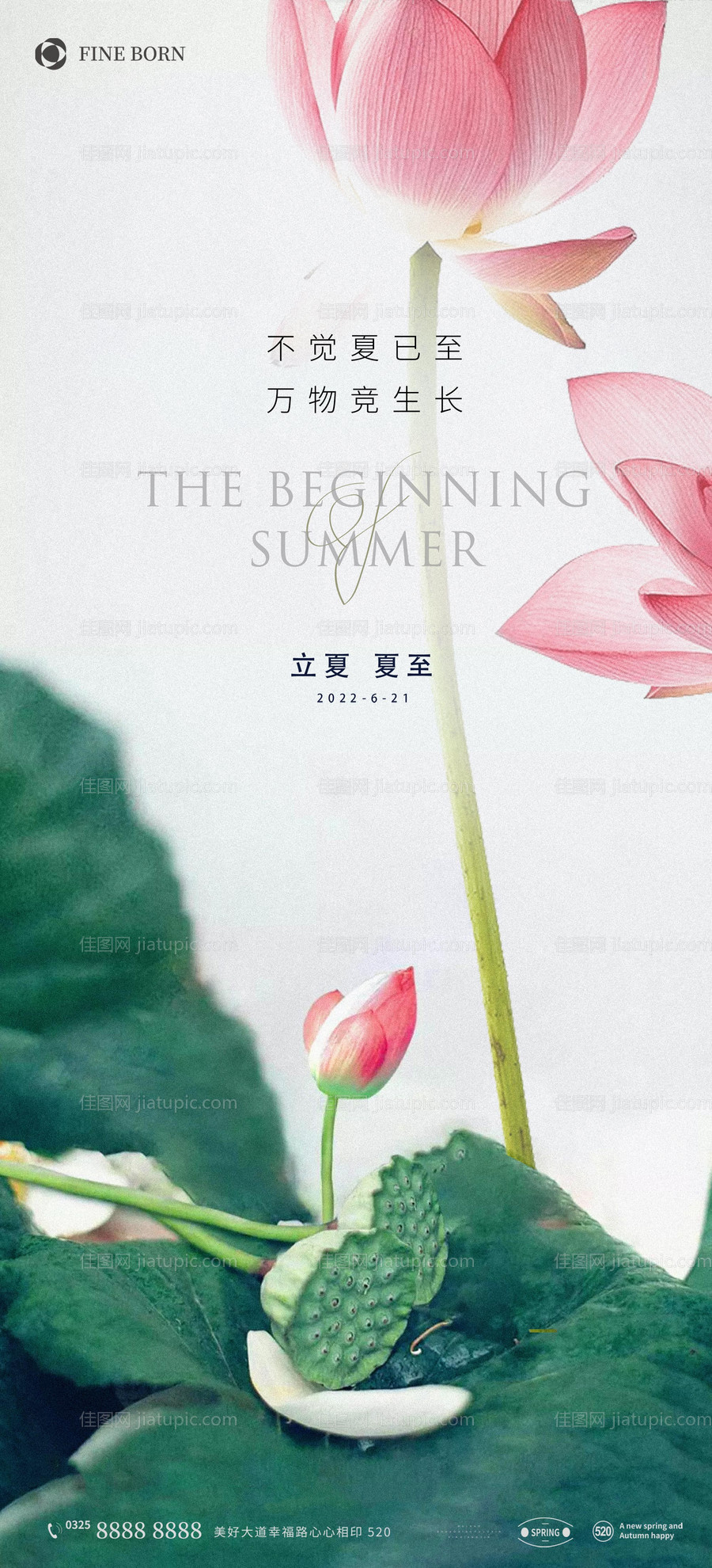 夏至海报-源文件