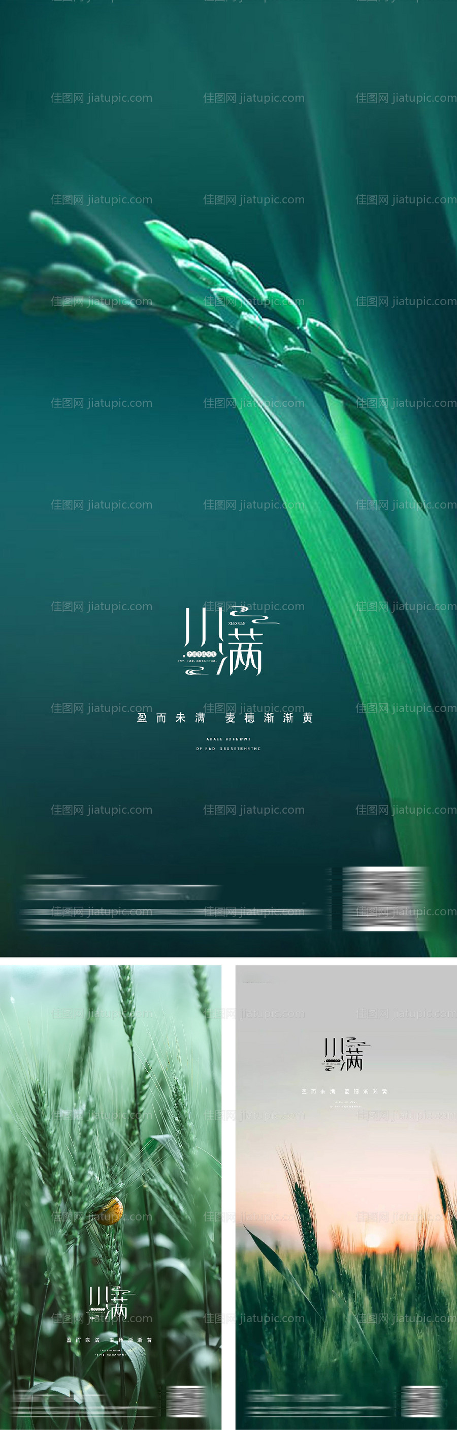 小满节气系列海报-源文件
