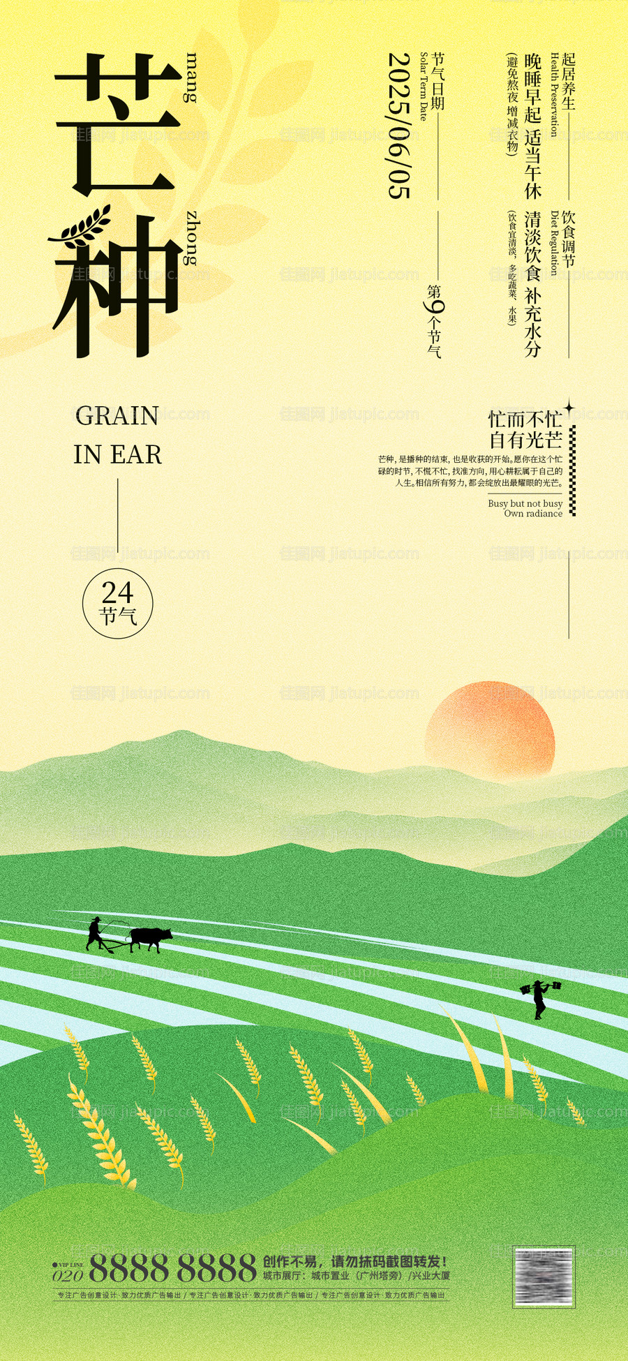 芒种海报-源文件