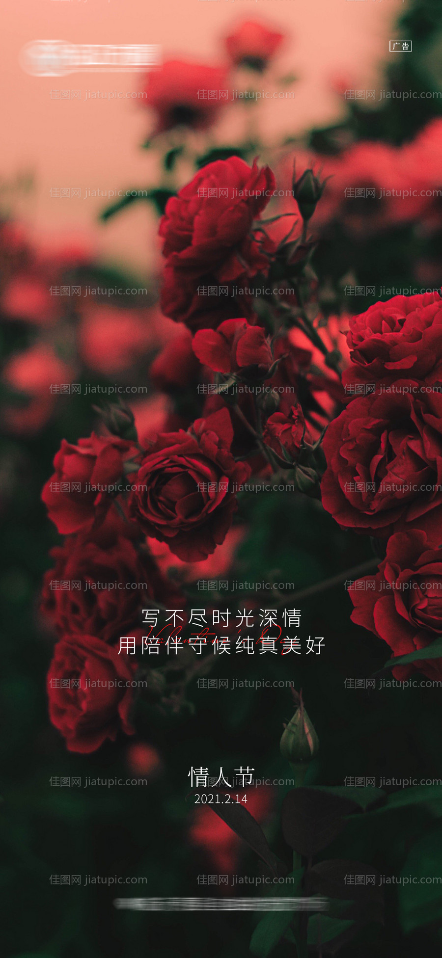 七夕情人节海报-源文件