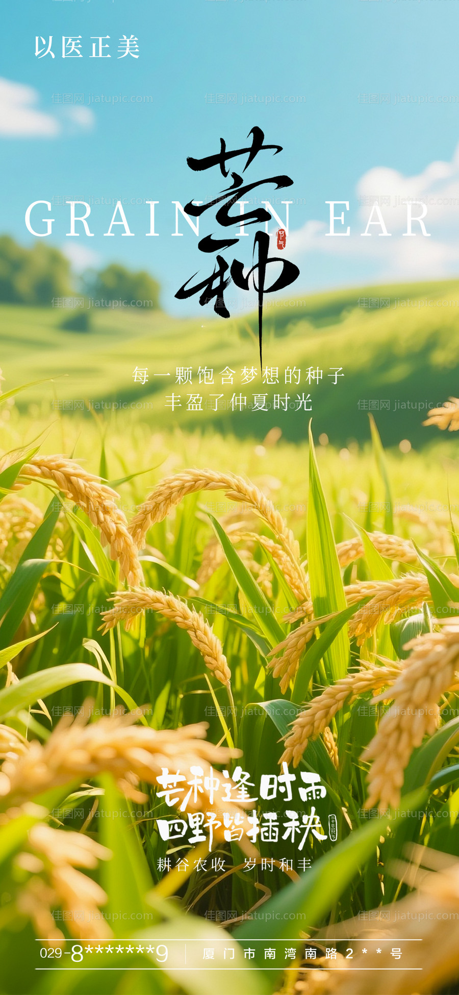 芒种海报-源文件