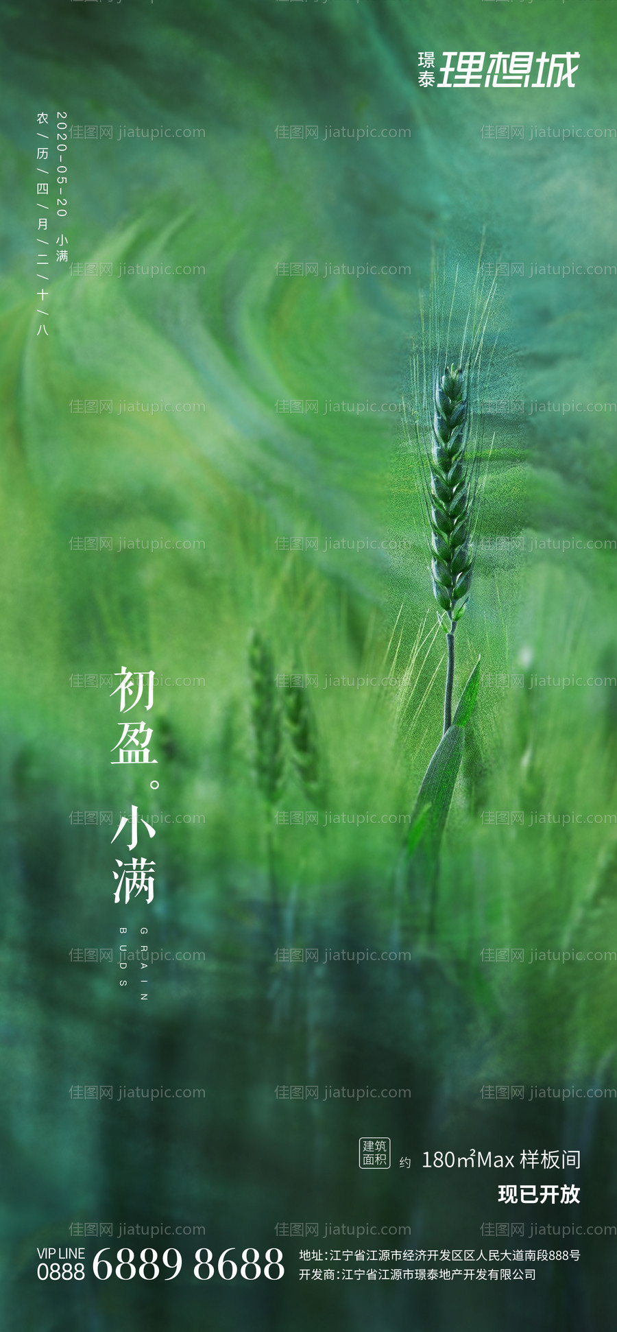 小满节气地产海报-源文件