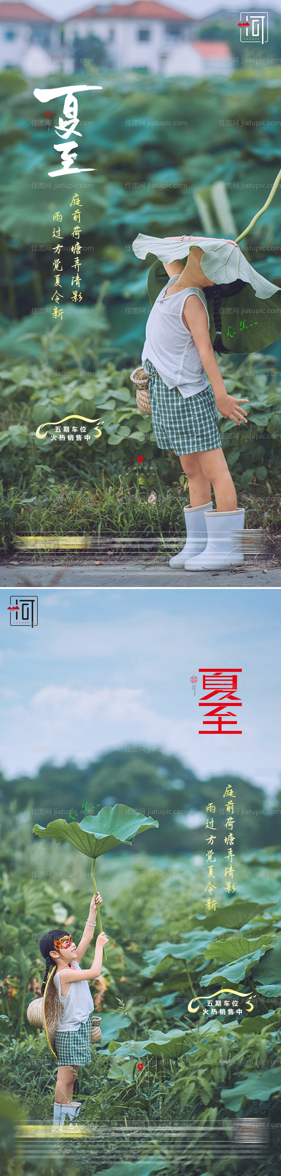 夏至节气系列海报-源文件