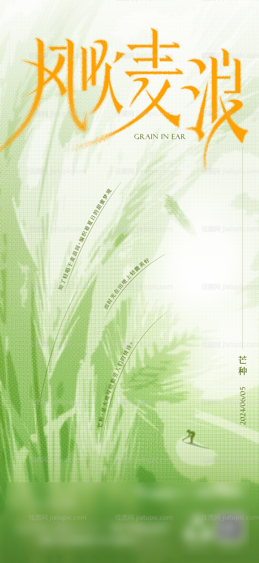 芒种-源文件