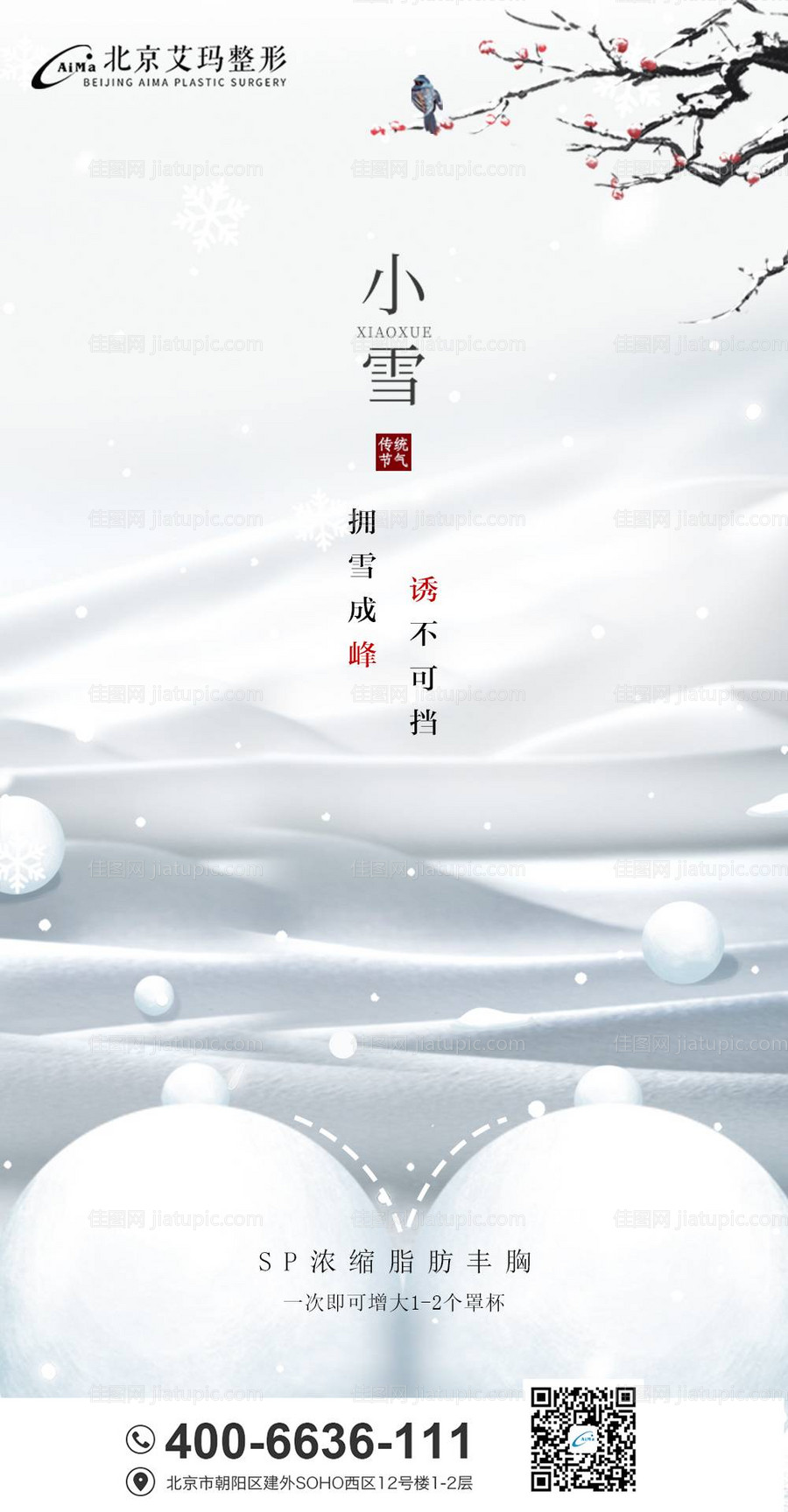 小雪医美节气创意海报-源文件