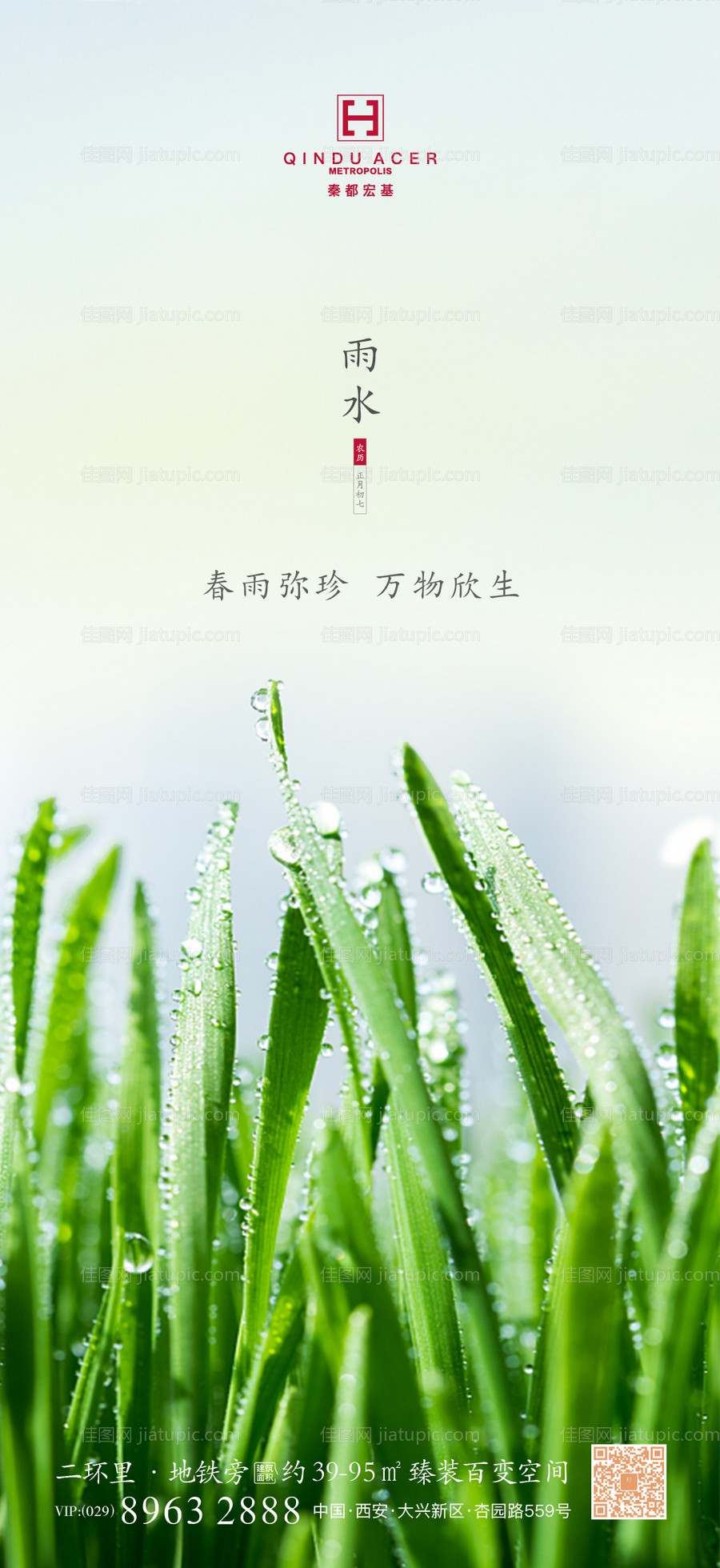 二十四节气雨水-源文件