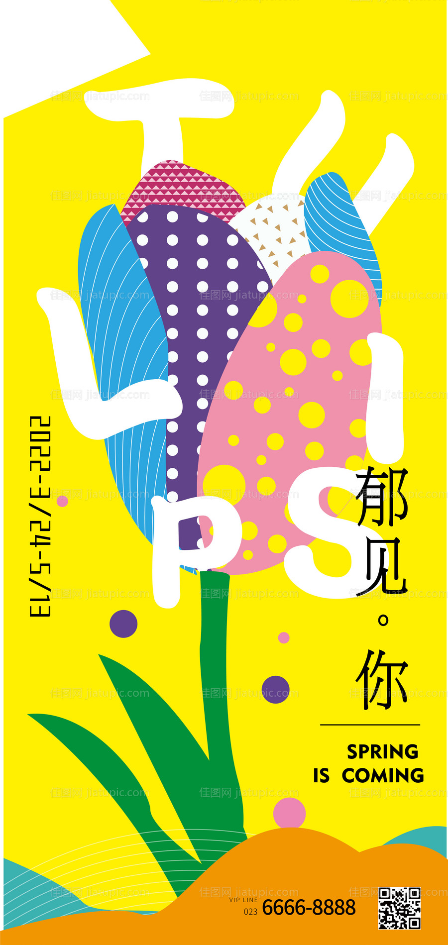 春天郁金香海报-源文件