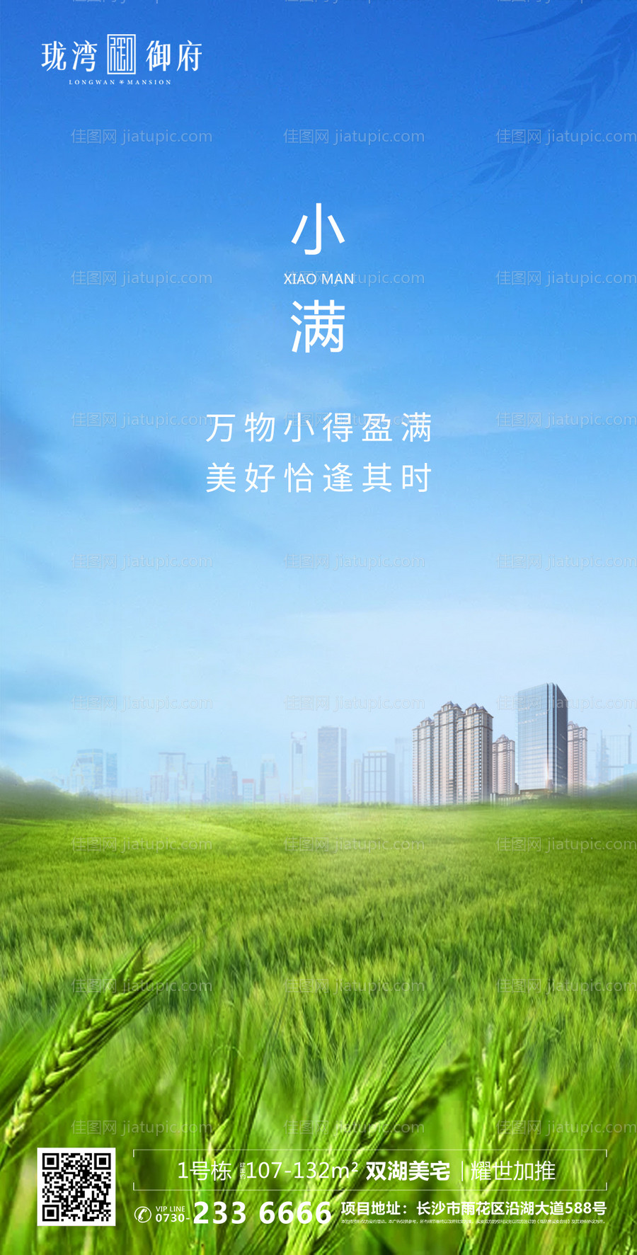 房地产小满节气移动端海报-源文件