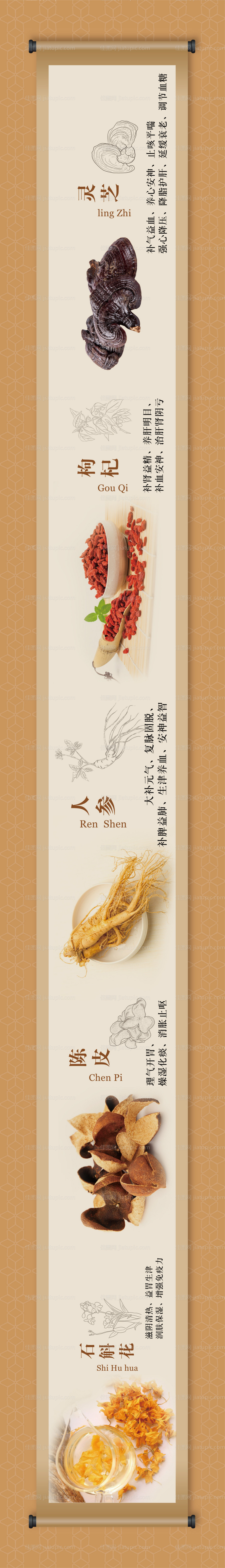 中药材介绍卷轴-源文件