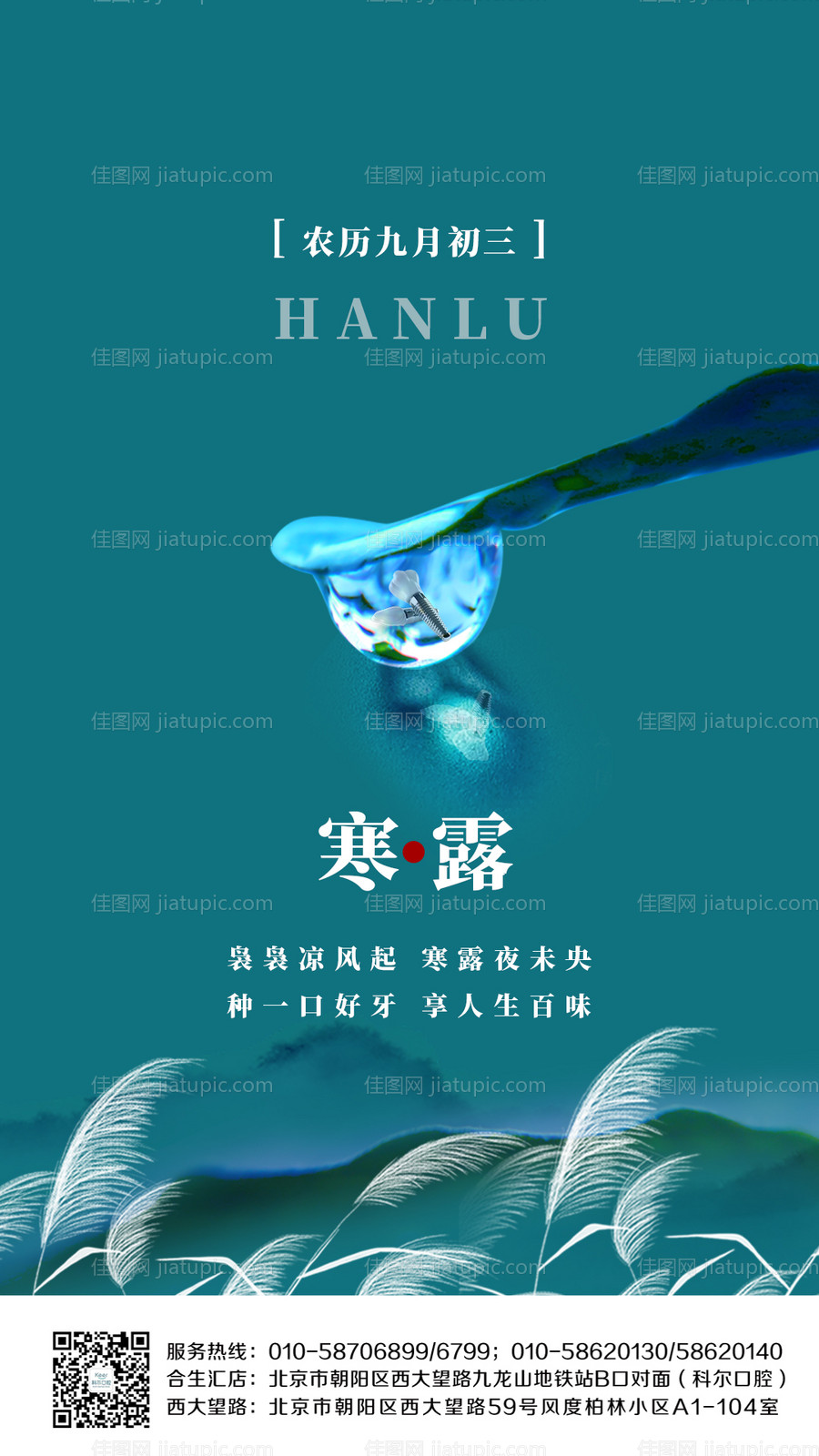 寒露节气海报-源文件