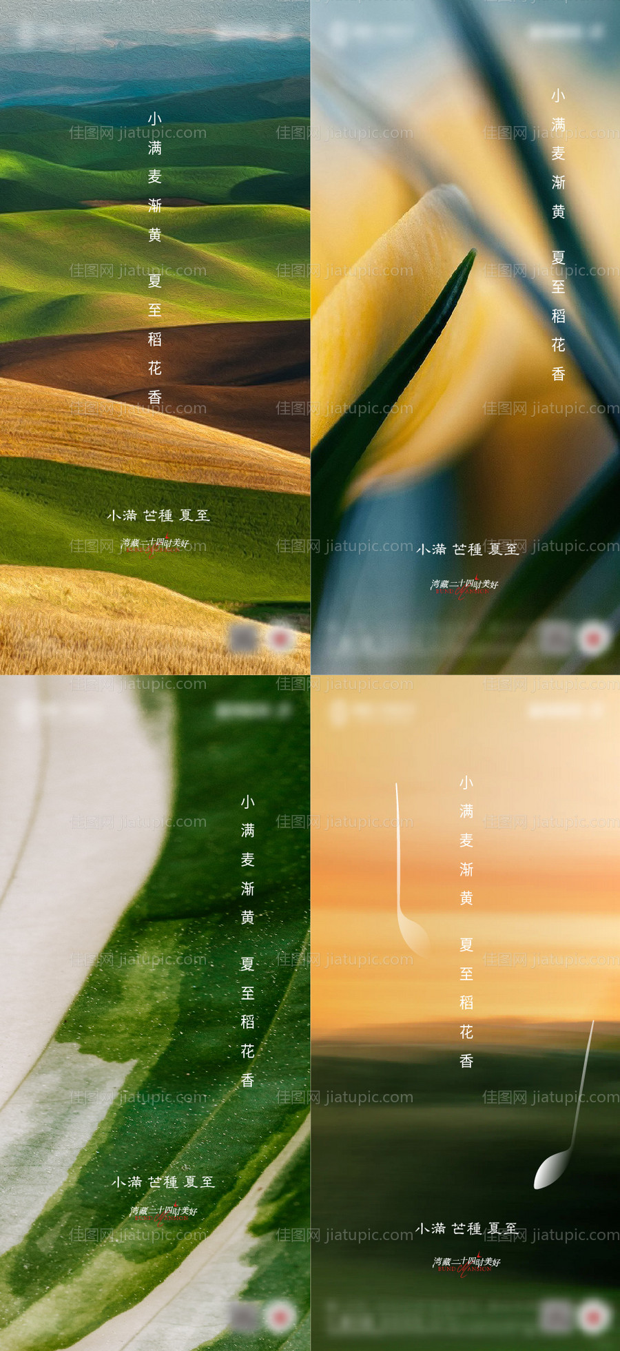 地产小满芒种夏至二十四节气系列海报-源文件