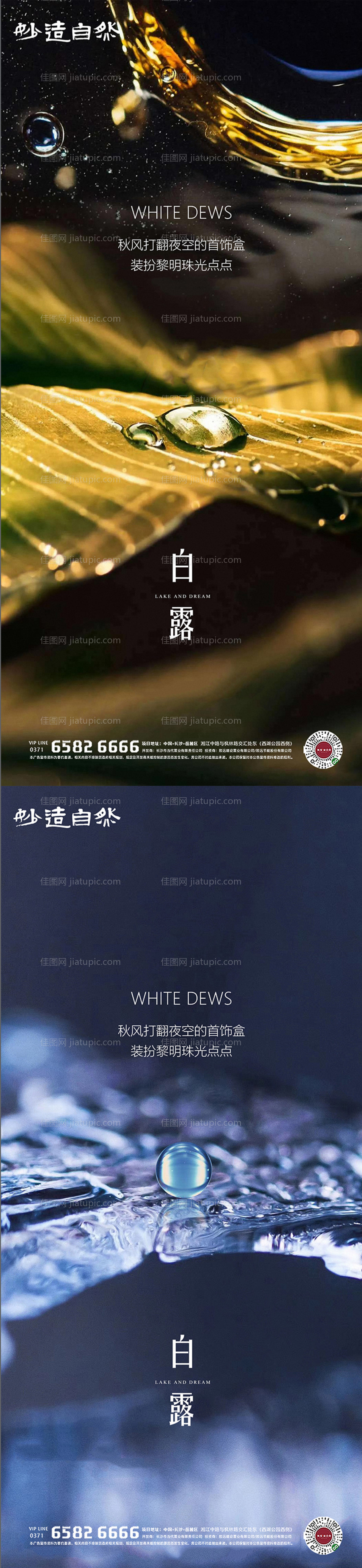 白露节气系列海报-源文件