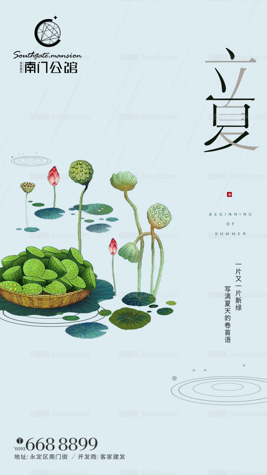 立夏荷花雨水节气移动端海报-源文件